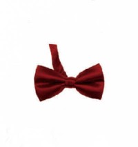 BT016 Order suit bow tie online order formal bow tie manufacturer detail view-28